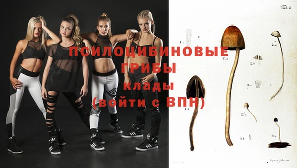 индика Лиски