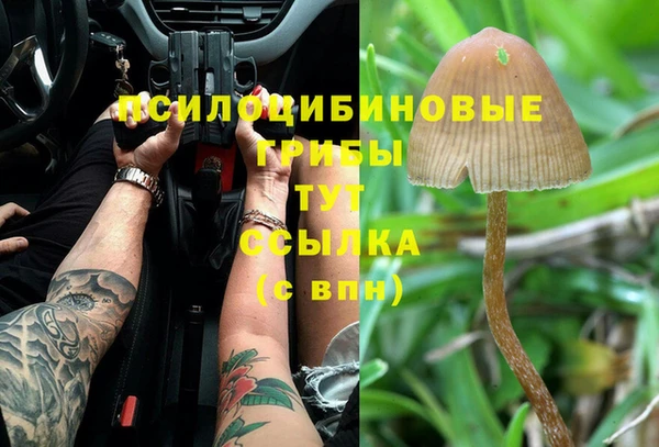 индика Лиски