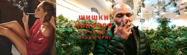 индика Лиски